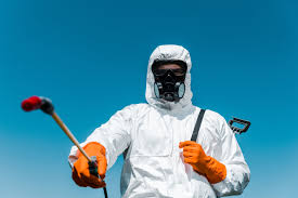 Best Outdoor Pest Control  in Leupp, AZ